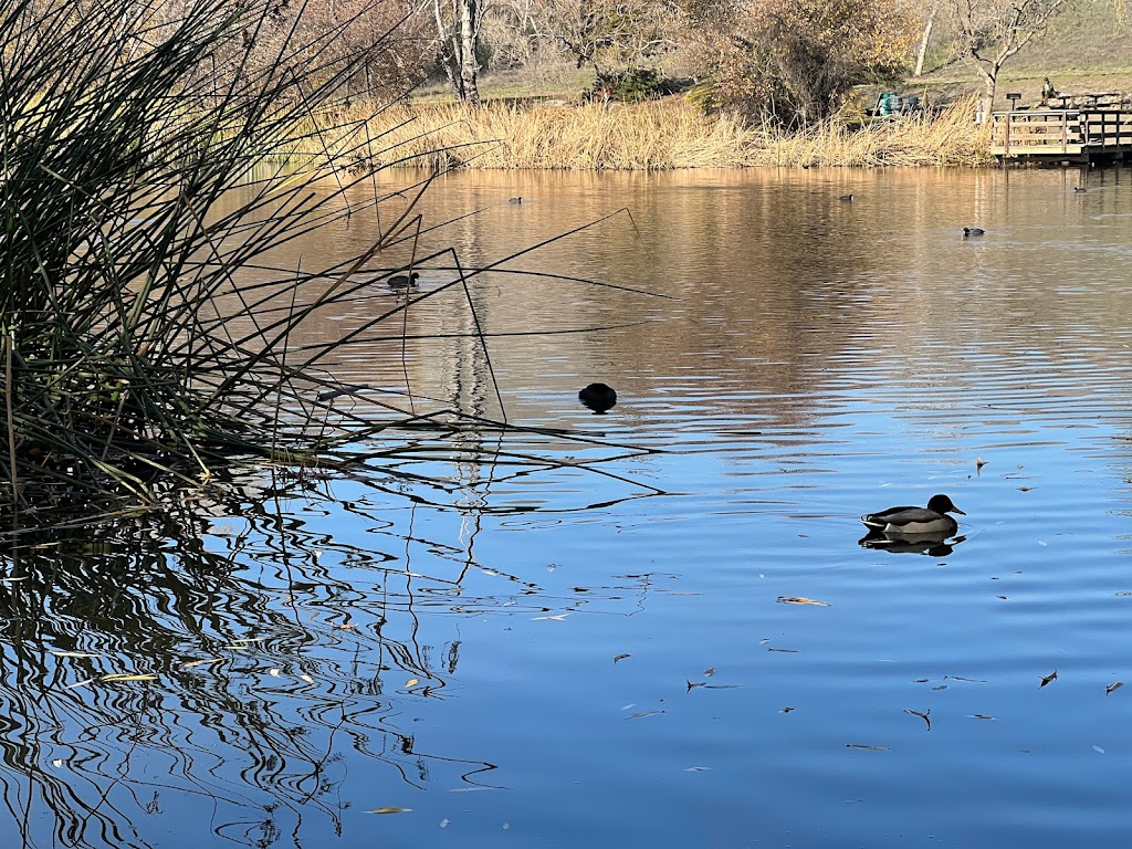 Jordan Pond | Jordan Pond, Hayward, CA 94544, USA | Phone: (510) 582-2206