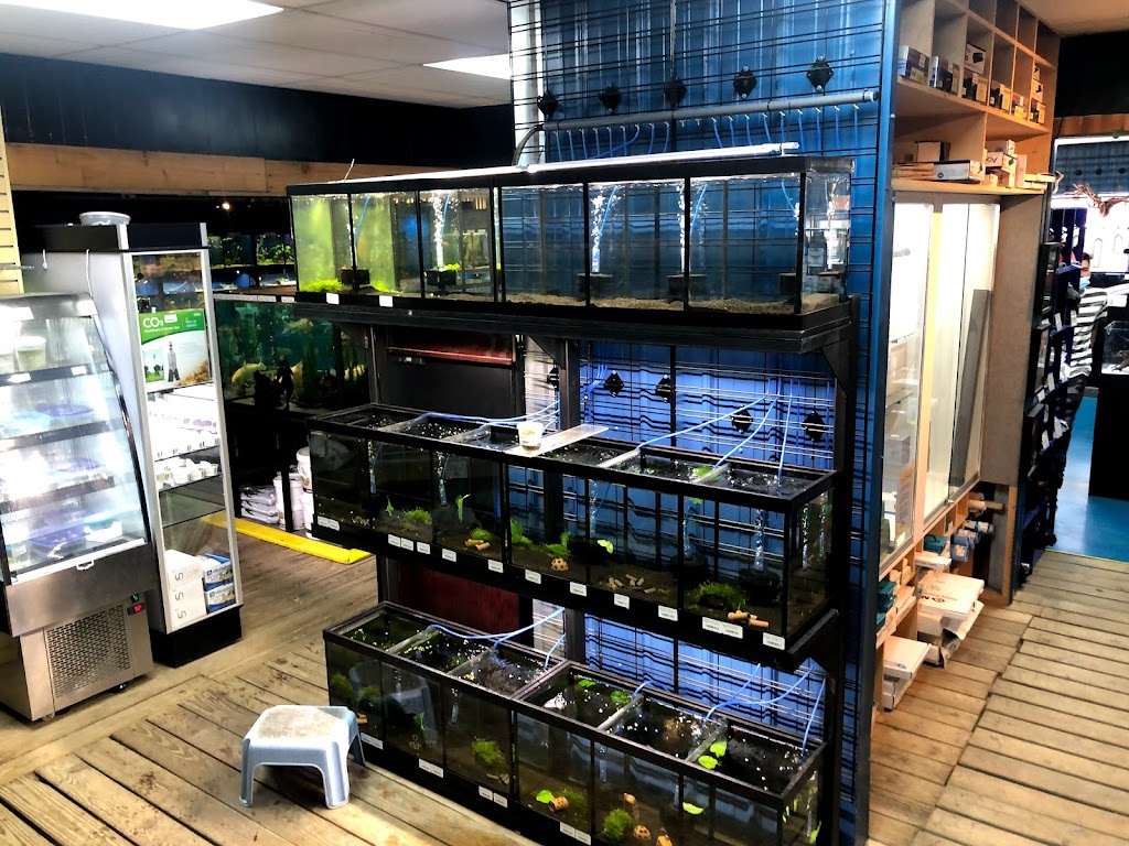 The Reef Aquarium Shop | 5613 N Keystone Ave, Indianapolis, IN 46220, USA | Phone: (317) 253-9695