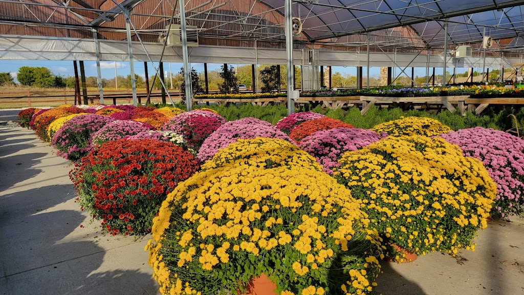 Home Grown Plants | 2675 E Audie Murphy Pkwy, 2675 W Audie Murphy Pkwy, Farmersville, TX 75442, USA | Phone: (972) 523-9356