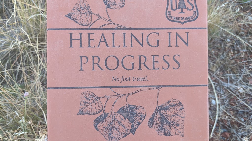 LIfe Strategies and Grief Recovery | 4827 123rd St W, Savage, MN 55378, USA | Phone: (952) 204-9702