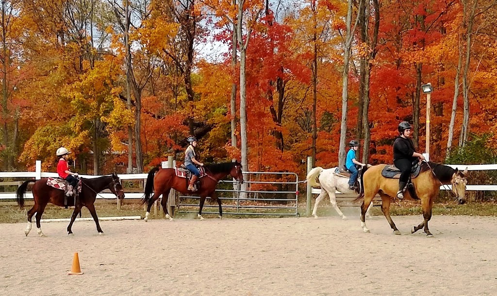 Heavenward Farm and Horsemanship | 7084 Ludlum Rd, Morrow, OH 45152, USA | Phone: (513) 899-4347