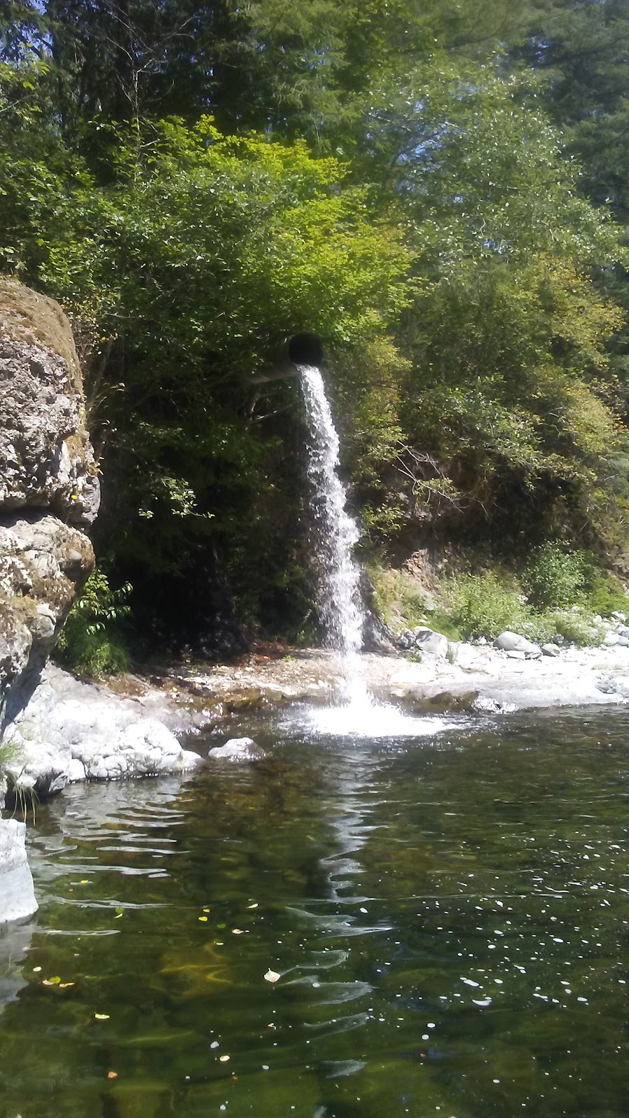 Washougal Hatchery | 15632 Washougal River Rd, Washougal, WA 98671, USA | Phone: (360) 837-3311