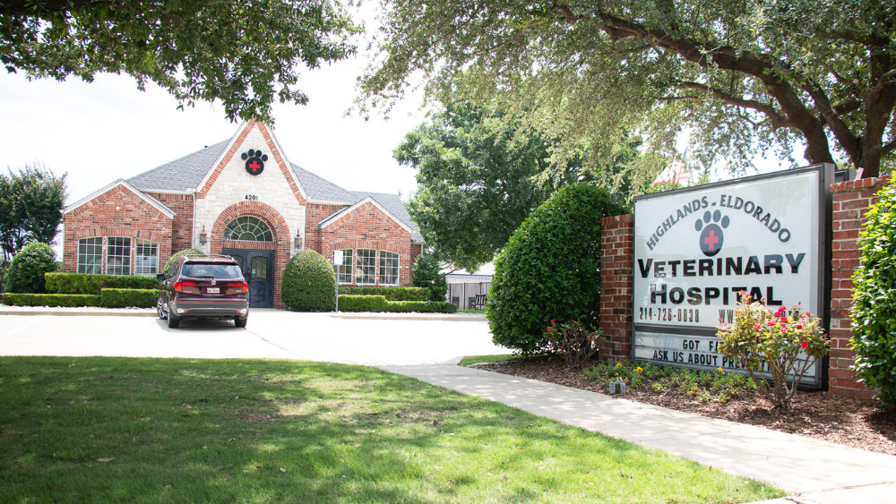 Highlands-Eldorado Veterinary Hospital | 4201 Highlands Dr, McKinney, TX 75070, USA | Phone: (214) 726-0838