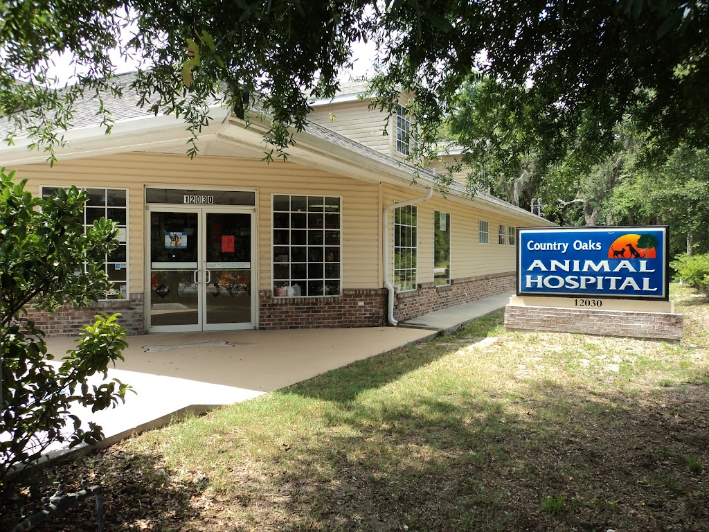 Country Oaks Animal Hospital | 12030 Moon Lake Rd, New Port Richey, FL 34654, USA | Phone: (727) 857-9977