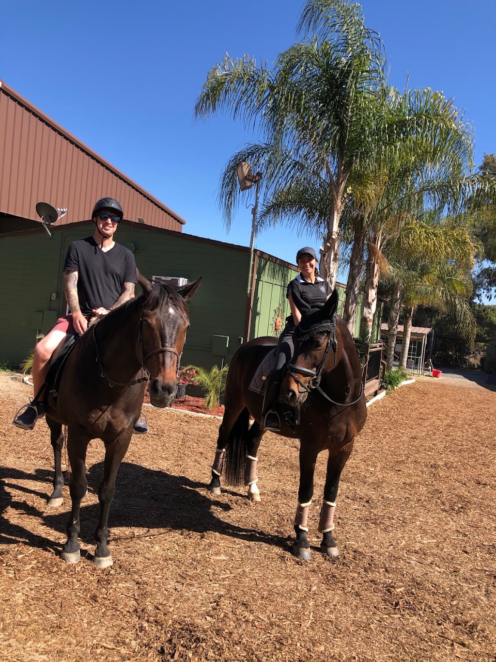 Trianas Dressage Training | 405 Cassou Rd, San Marcos, CA 92069, USA | Phone: (561) 676-8478