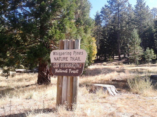 Whispering Pines Trail 1E33 | 40949 CA-38, Angelus Oaks, CA 92305, USA | Phone: (909) 382-2882