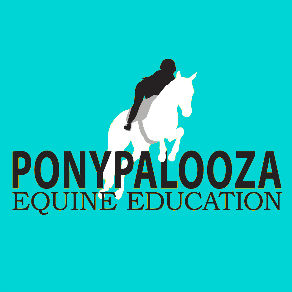 Pony Palooza Equine Education | 160 Eberle Rd, Hickory, PA 15340, USA | Phone: (412) 335-2665