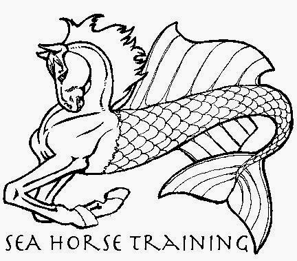 Sea Horse Training, L.L.C. | 68-540 Farrington Hwy, Waialua, HI 96791, USA | Phone: (202) 258-2226