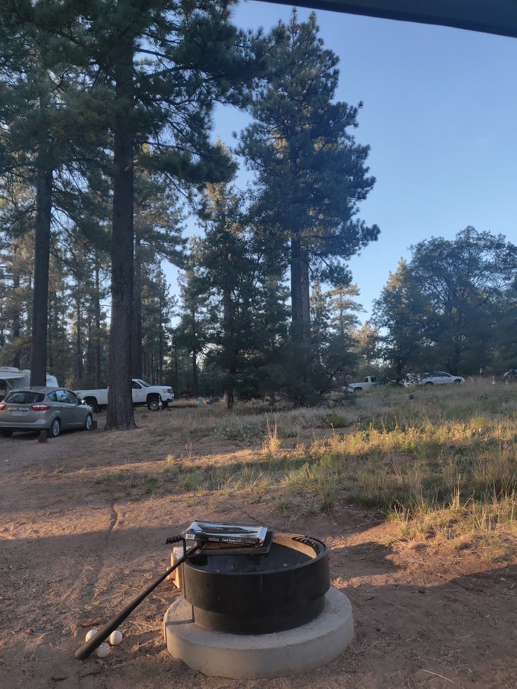 Laguna Campground | Meadow Trailer Loop, Mt Laguna, CA 91948, USA | Phone: (877) 444-6777