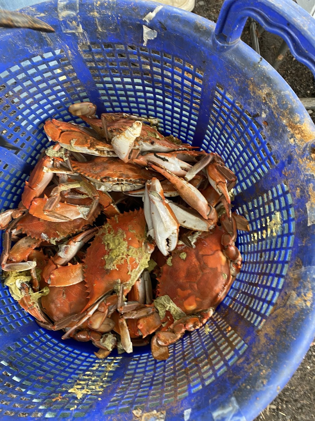 Coles Chesapeake Crabs | 684 Ridge Rd, Mt Airy, MD 21771, USA | Phone: (301) 204-1371