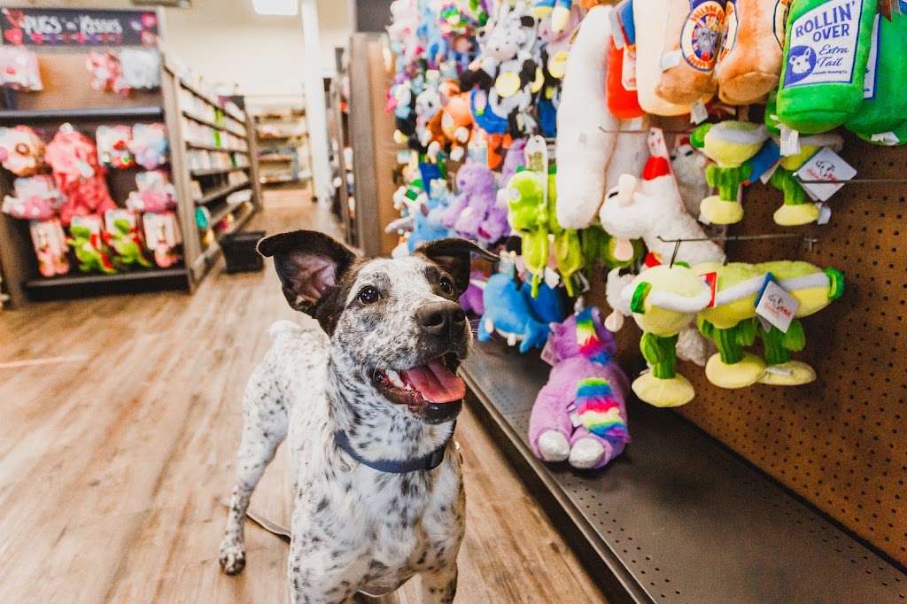 Mutts & Co. | 837 Polaris Pkwy, Westerville, OH 43082, USA | Phone: (614) 245-0654