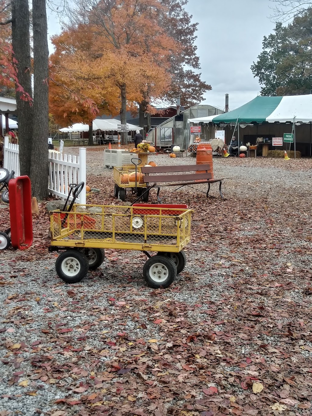 Countryside Farm Barn Venue | 4684 Center Rd, Lowellville, OH 44436, USA | Phone: (330) 536-2178