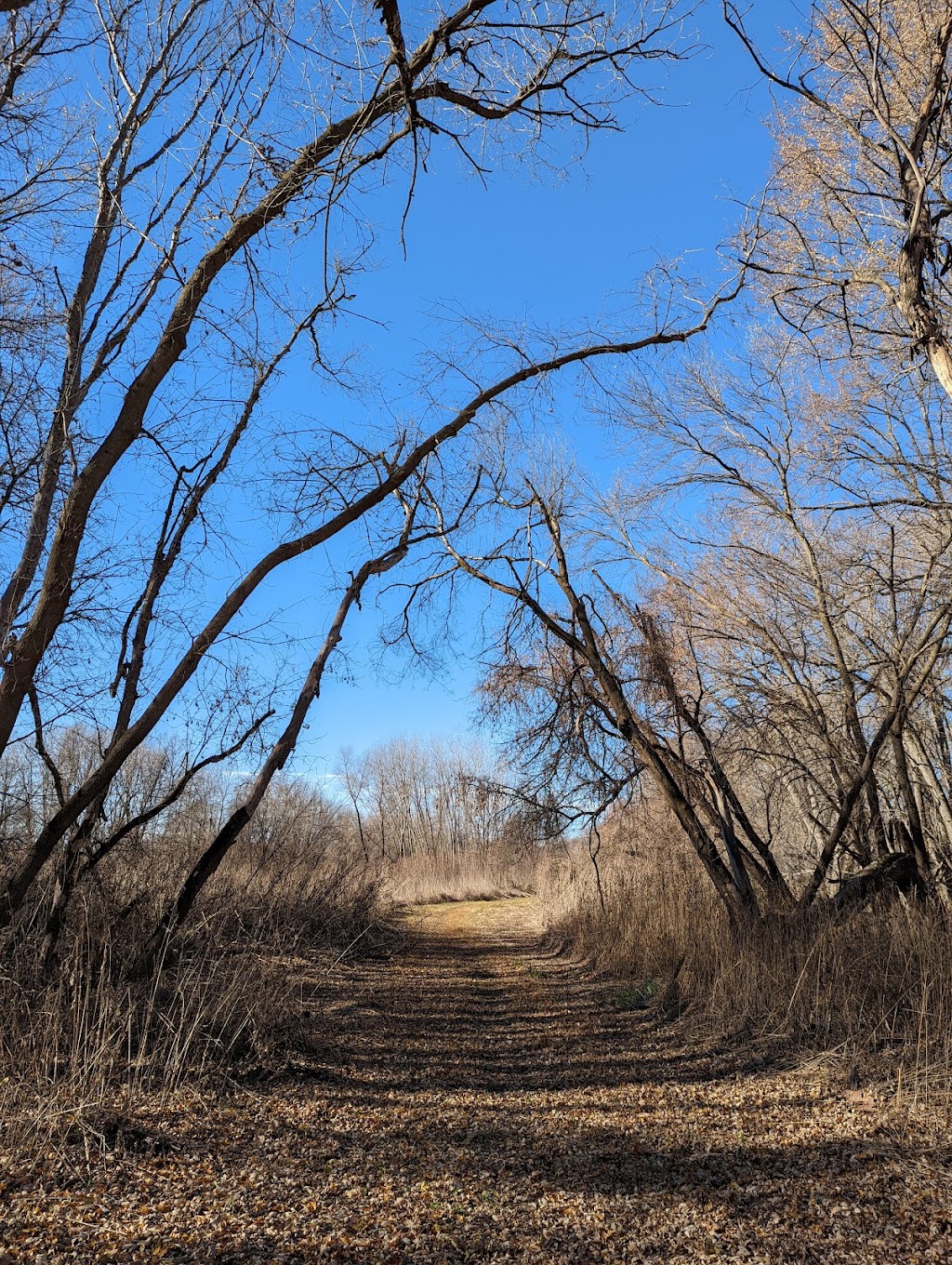 Minnesota Valley State Recreation Area | 20550 Park Blvd, Jordan, MN 55352, USA | Phone: (651) 259-5774