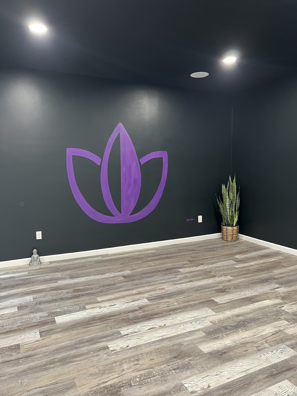 Breathe Align Restore Wellness Center | 1014 Leesburg Ave, Washington Court House, OH 43160, USA | Phone: (740) 333-8969