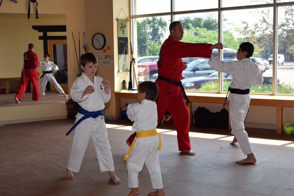 USA Karate | 509 County Rd 42 E, Burnsville, MN 55337, USA | Phone: (952) 892-6565