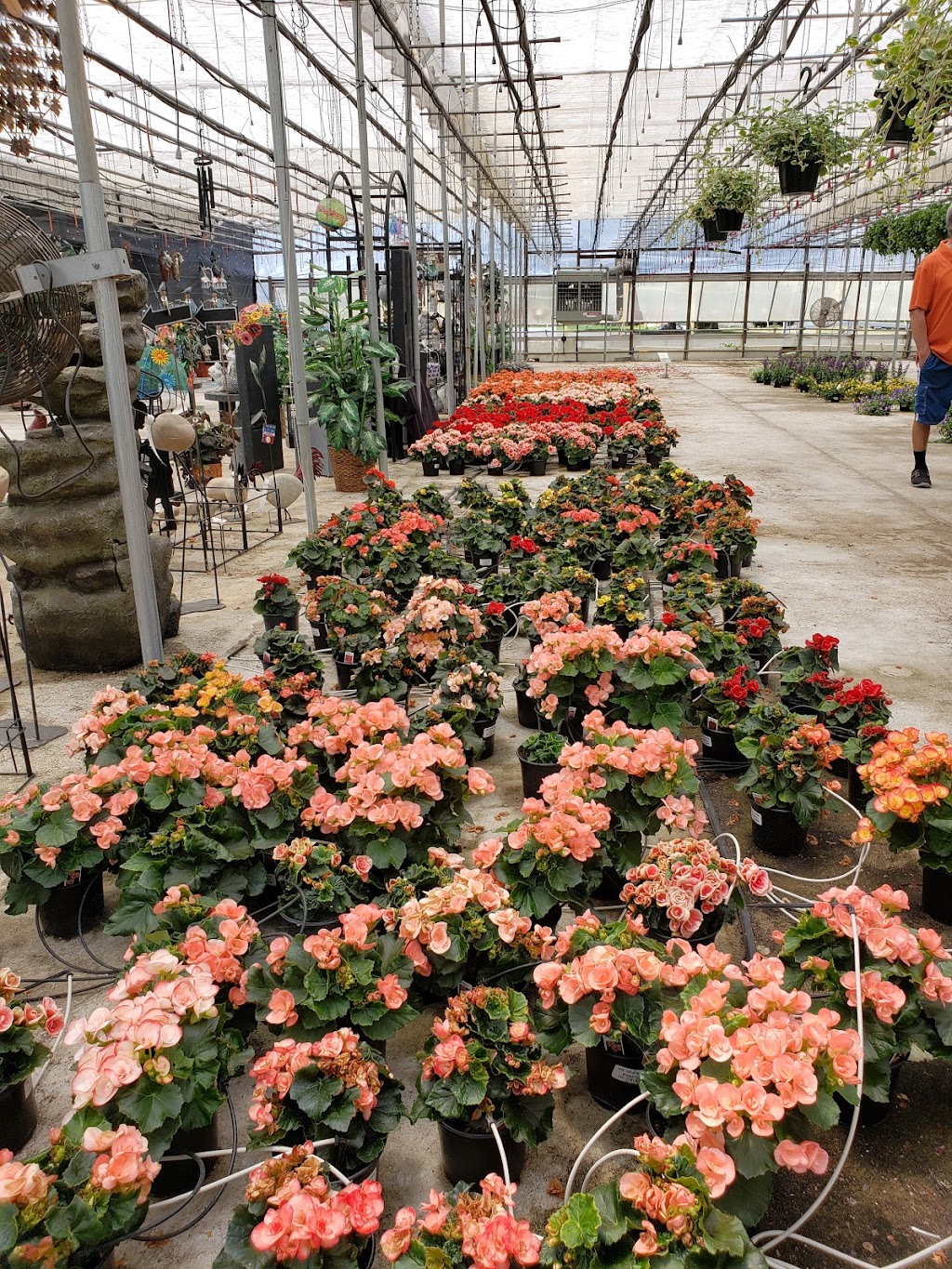 Comiskys Greenhouses Inc. | 115 Manlove Ave, Hightstown, NJ 08520, USA | Phone: (609) 448-1705