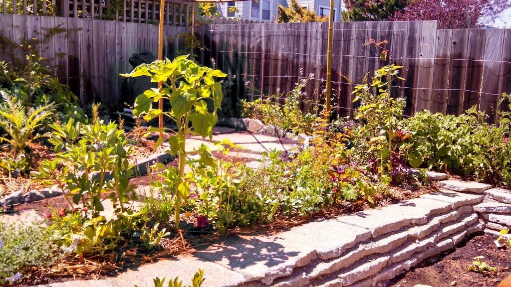 Edible Earth Designs | 1415 Sunset Ave, Santa Monica, CA 90405, USA | Phone: (323) 763-0435