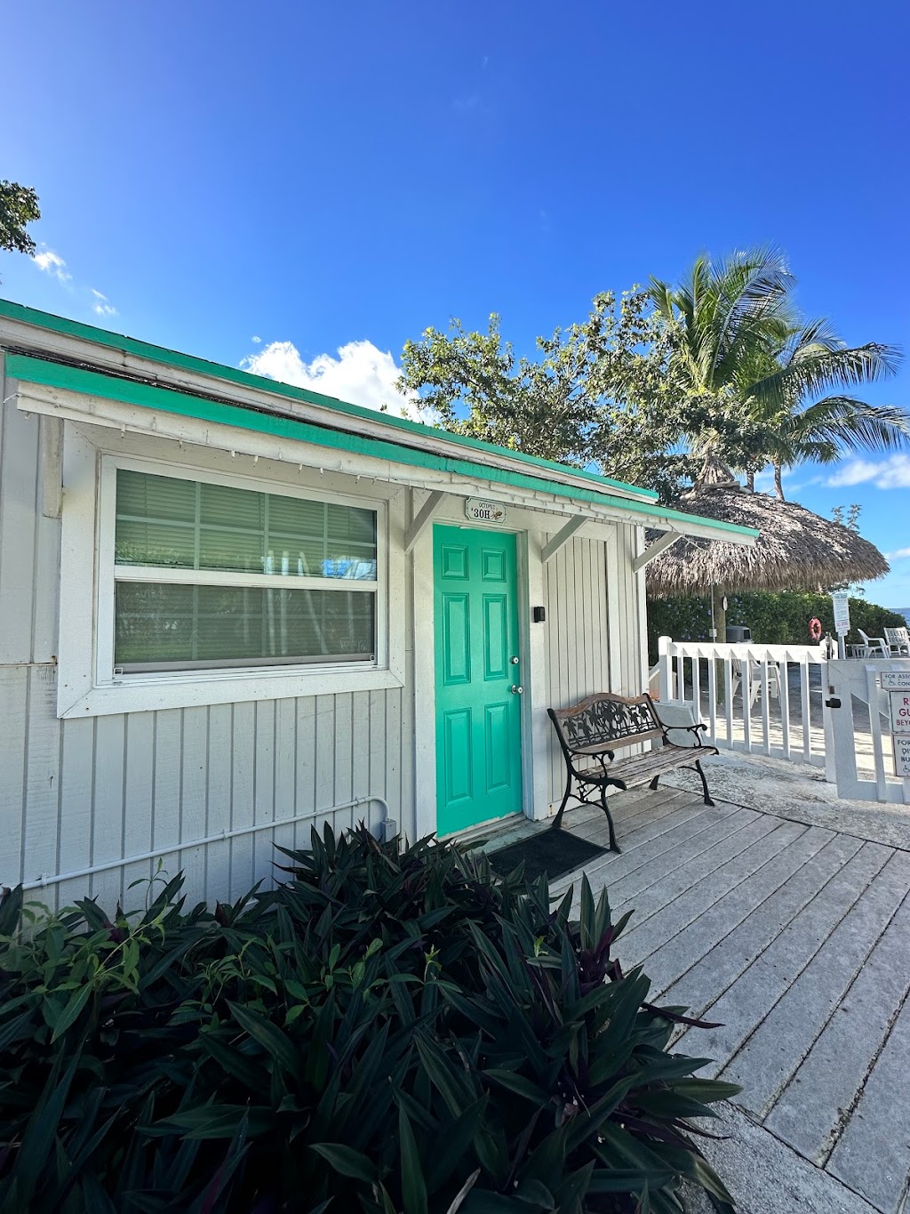 Amoray Dive Resort | 104250 Overseas Hwy, Key Largo, FL 33037, USA | Phone: (305) 451-3595