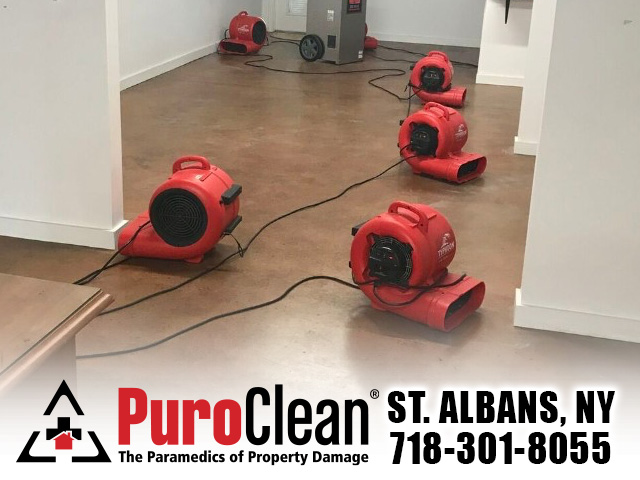 PuroClean Emergency Property Recovery | 219-05 Merrick Blvd, Queens, NY 11413, USA | Phone: (718) 301-8055