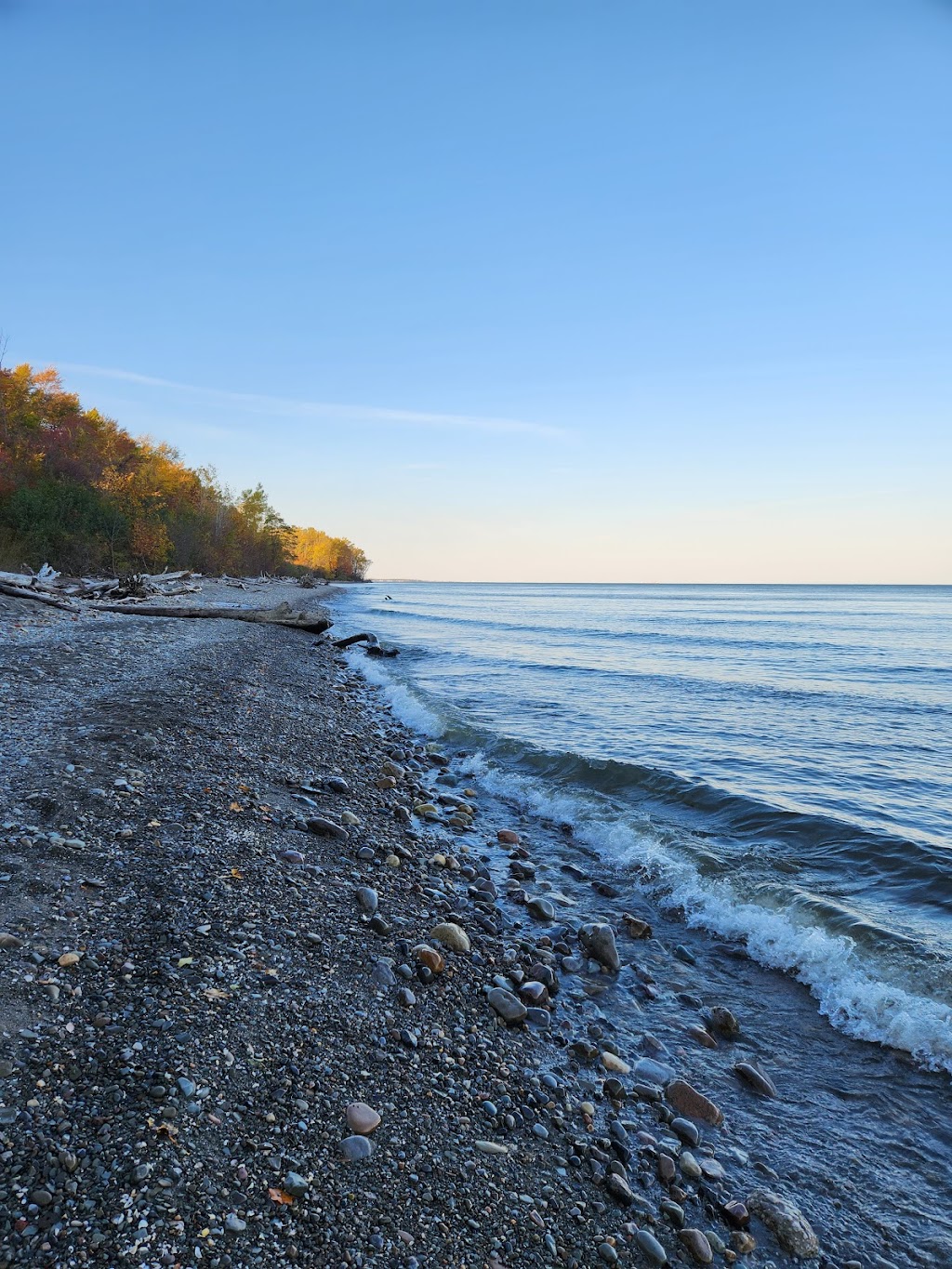 Lake Erie Bluffs (Lake Metroparks) | 3301 Lane Rd, Painesville, OH 44077, USA | Phone: (440) 358-7275