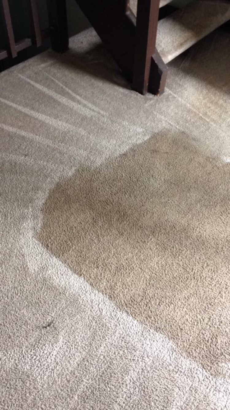 Arellas Carpet Cleaning | 55 Pilot Hill Dr, St Peters, MO 63376, USA | Phone: (636) 498-1704