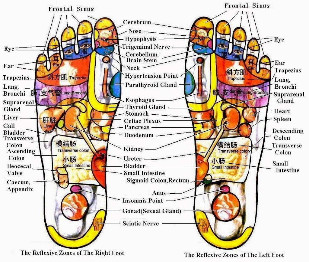 RG FOOT SPA | 5666 Mayfield Rd, Lyndhurst, OH 44124, USA | Phone: (440) 681-9127