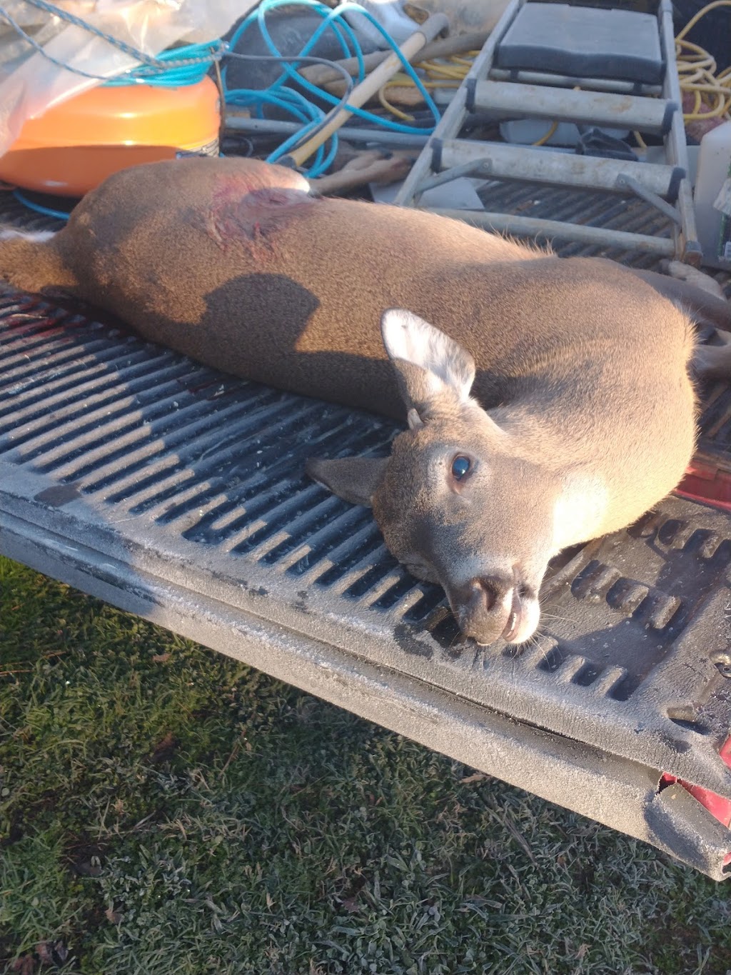 Allens Deer Processing | 209 Camp Creek Rd, Vincent, AL 35178, USA | Phone: (205) 672-7906