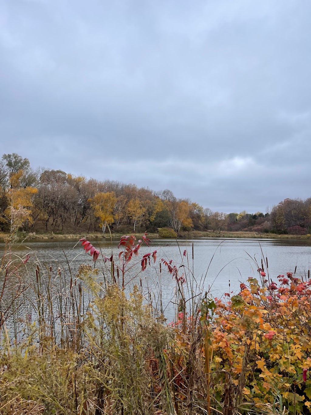 Kerber Pond Park | Chanhassen, MN 55317, USA | Phone: (952) 227-1100