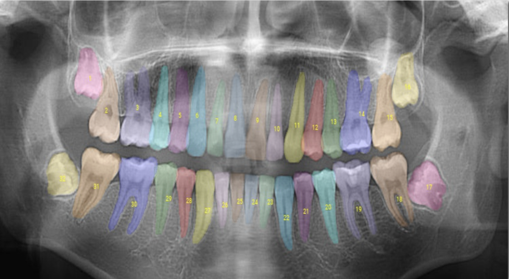 Jefferson Dental & Orthodontics | 3311 W Illinois Ave, Dallas, TX 75211, USA | Phone: (214) 451-2400