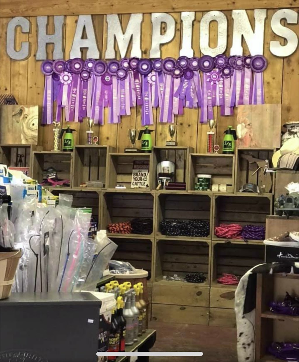 Champions Choice Feeds | 38626 Tucker Rd, Zephyrhills, FL 33542 | Phone: (813) 782-2333