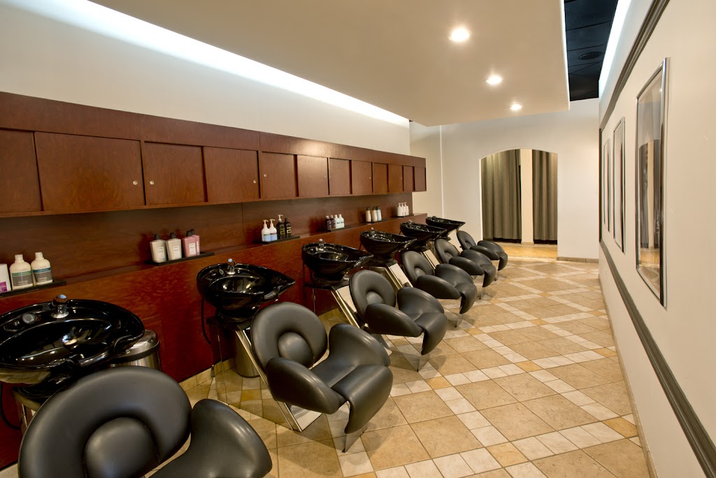 The David Salon | Country Side Center, 355 Bristol St d, Costa Mesa, CA 92626, USA | Phone: (714) 549-1160