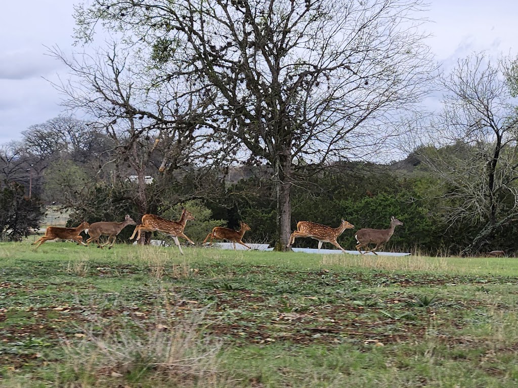 Backroads Reservations | 142 Windmill Estates Ln, Bandera, TX 78003 | Phone: (866) 796-0660