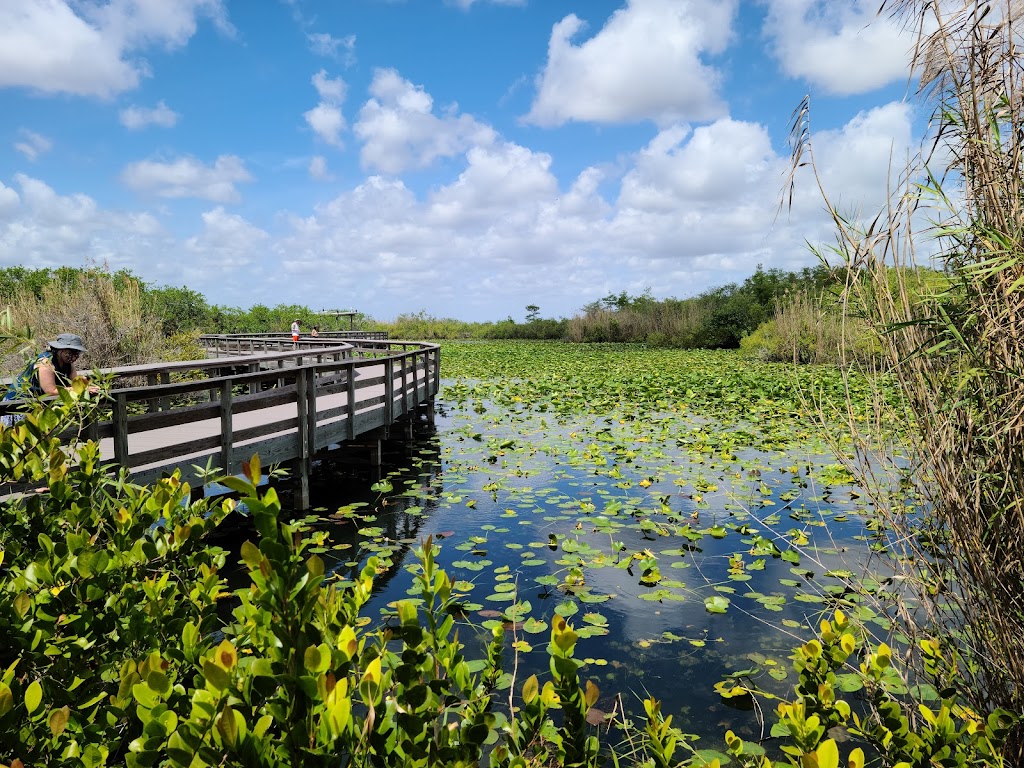 Anhinga Trail | Homestead, FL 33030 | Phone: (305) 242-7700