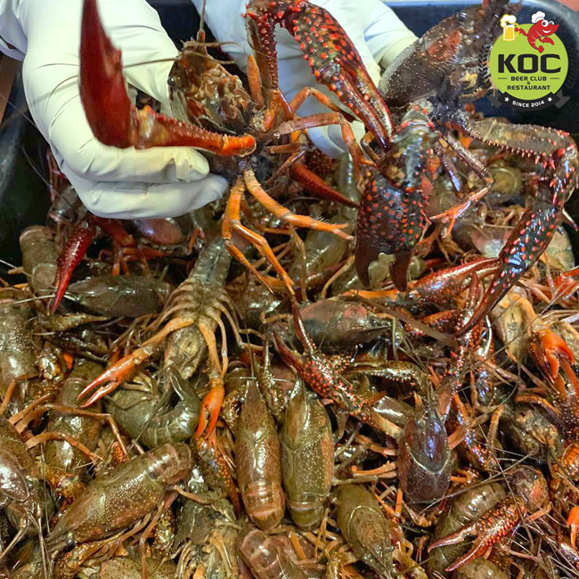 KOC Crawfish | 13289 Brookhurst St, Garden Grove, CA 92843, USA | Phone: (714) 868-3143