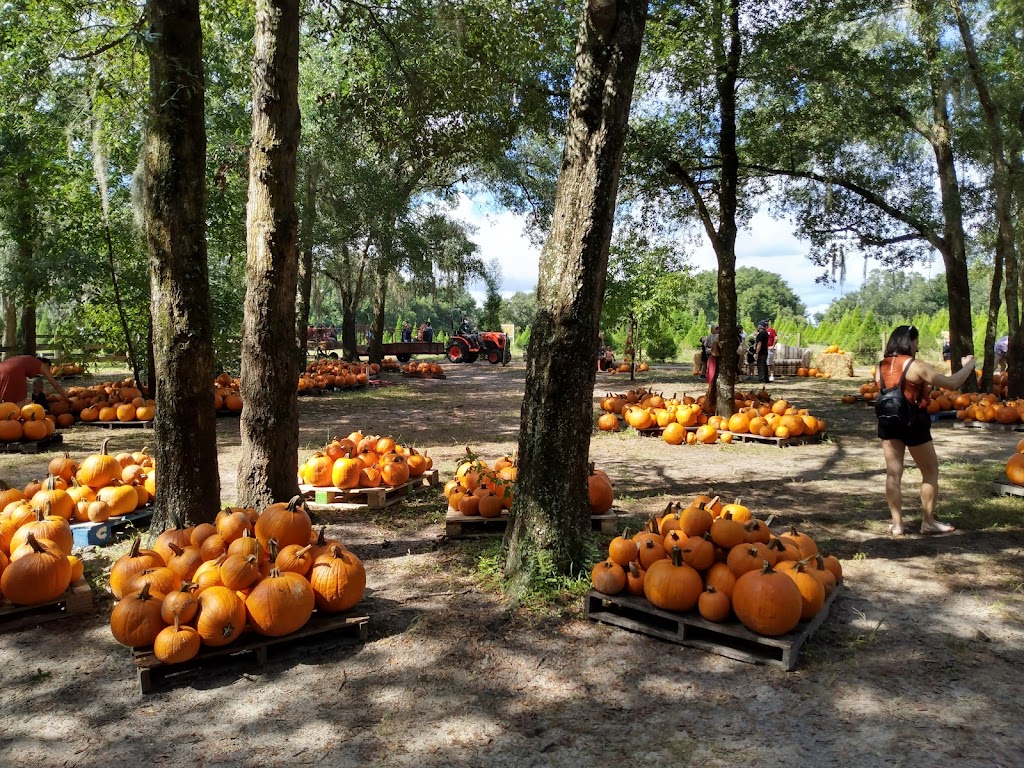 Santa’s Farm - Reservations Required | 35317 Huff Rd, Eustis, FL 32736, USA | Phone: (352) 357-9863