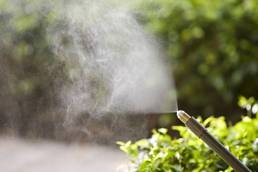 Platinum Mosquito Protection | 10424 W State Rd 84, Davie, FL 33324, USA | Phone: (954) 888-9311