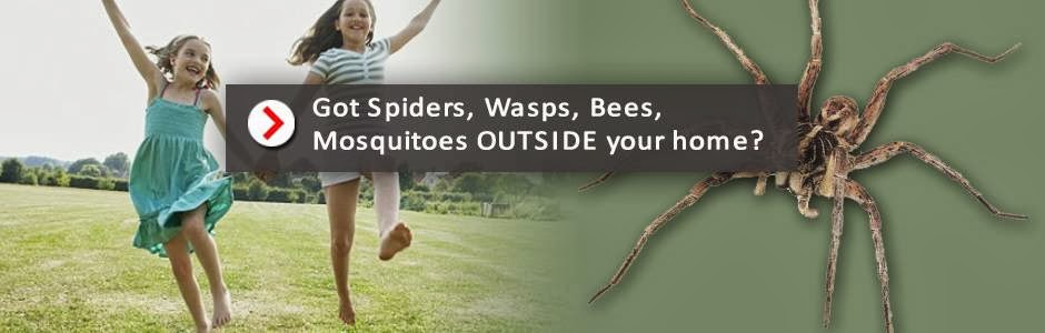 Pest-Free Exterminating Services | 2444 Country Lake Ln, Powder Springs, GA 30127, USA | Phone: (678) 384-1101