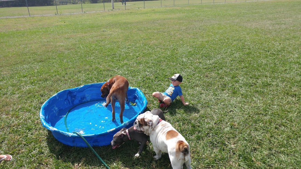 Logan Gate Dog Park | 7374 Monterey Blvd, Tampa, FL 33610, USA | Phone: (813) 744-5595