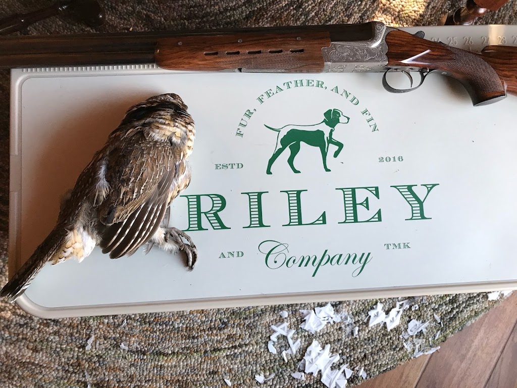 Riley and Company | Amherst Rd, Pleasant Ridge, MI 48069, USA | Phone: (313) 986-1773