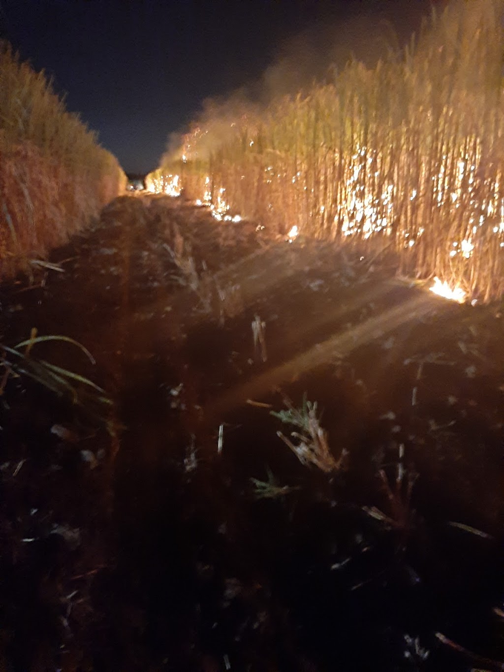 Catahoula Lake Fire Department | 4340 Catahoula Hwy, St Martinville, LA 70582, USA | Phone: (337) 394-4756