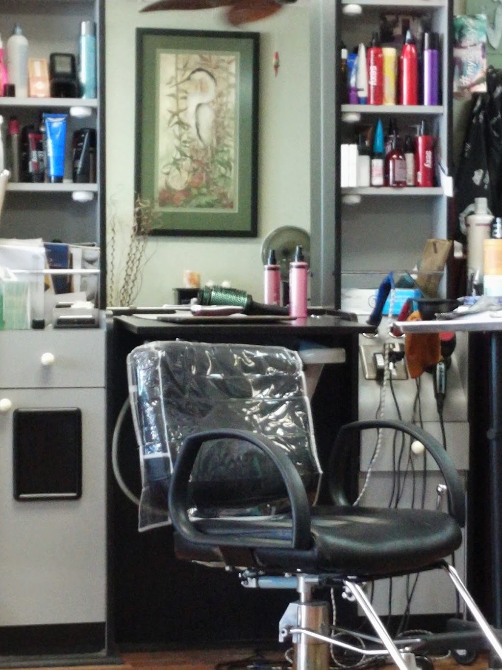 Padre Isle Hair Salon | 13933 S Padre Island Dr, Corpus Christi, TX 78418 | Phone: (361) 949-8388