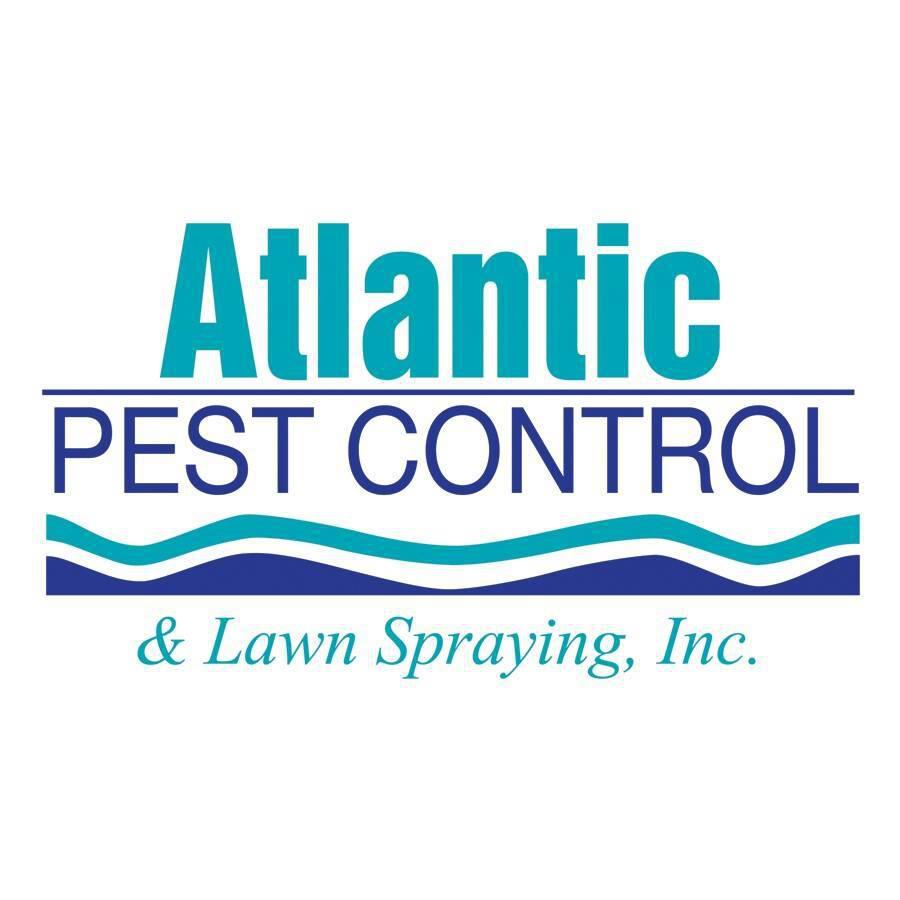 Atlantic Pest Control | 1466 US-19 ALT, Palm Harbor, FL 34683, USA | Phone: (727) 733-4505