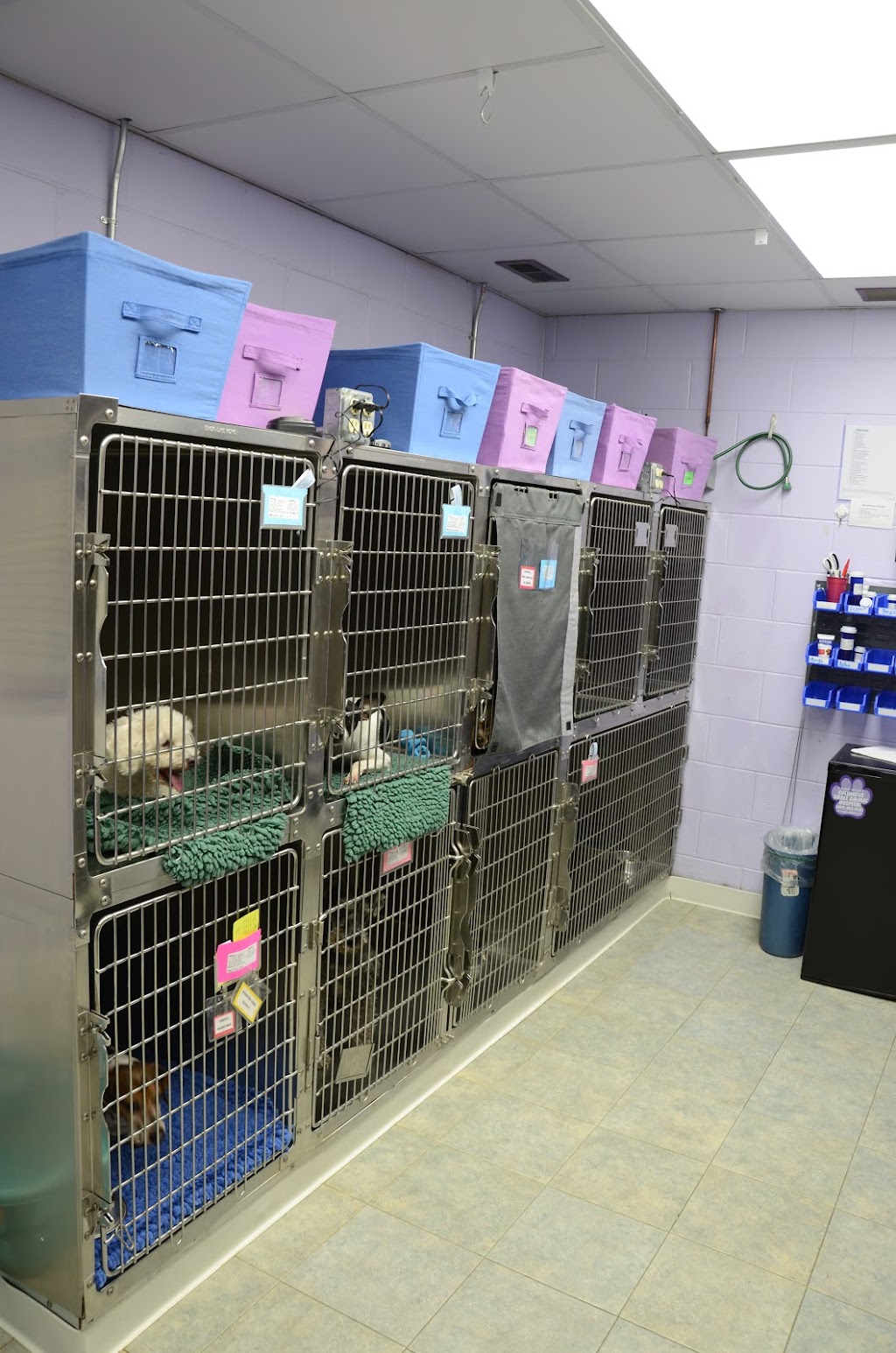 Columbus Small Animal Hospital | 2278 39th Ave, Columbus, NE 68601, USA | Phone: (402) 563-4151