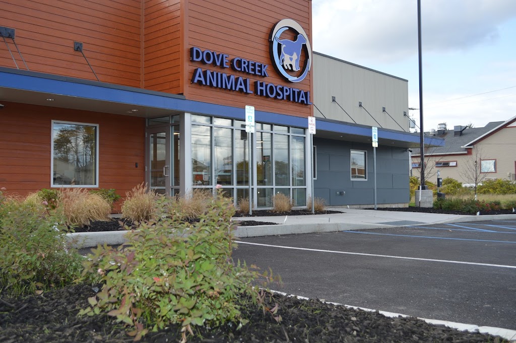 Dove Creek Animal Hospital | 4798 NY-30, Amsterdam, NY 12010 | Phone: (518) 627-9762