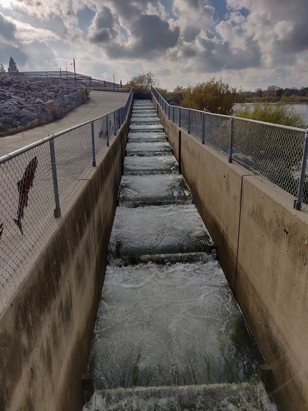 Nimbus Fish Hatchery | 2001 Nimbus Rd, Gold River, CA 95670, USA | Phone: (916) 358-2884