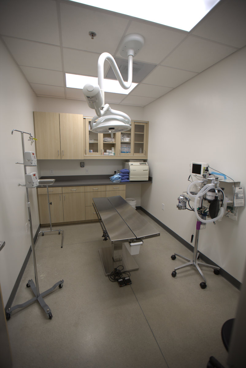 THRIVE Affordable Vet Care | 27580 W Lugonia Ave, Redlands, CA 92374, USA | Phone: (909) 748-1858