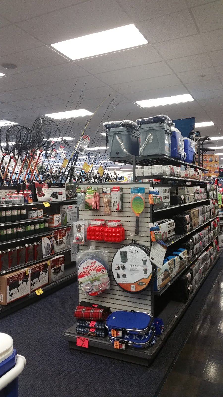 Big 5 Sporting Goods | 900 W El Monte Way, Dinuba, CA 93618, USA | Phone: (559) 591-4084