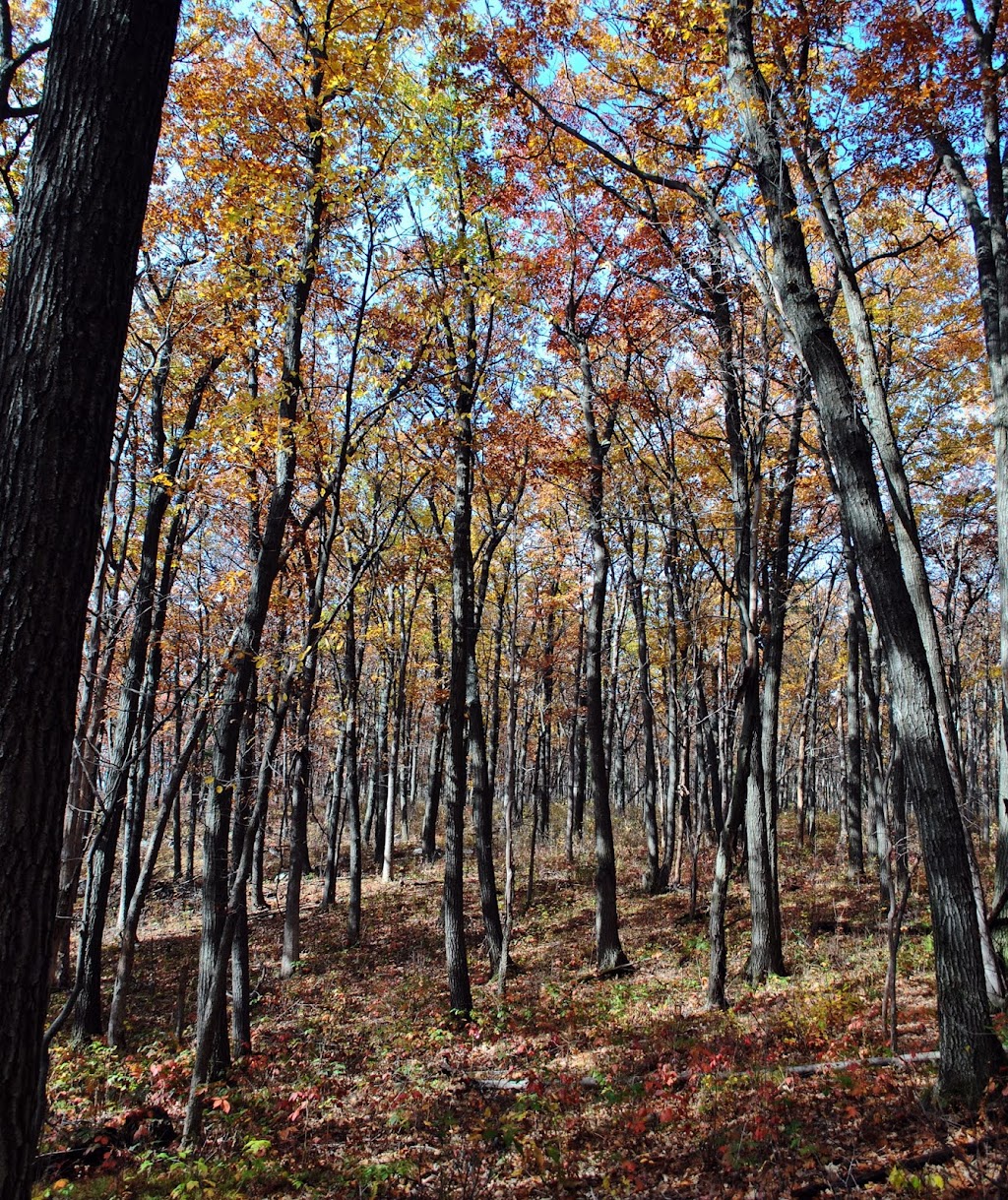 East Bluff State Natural Area | Pvt Interior Rd, Merrimac, WI 53561, USA | Phone: (608) 266-0394