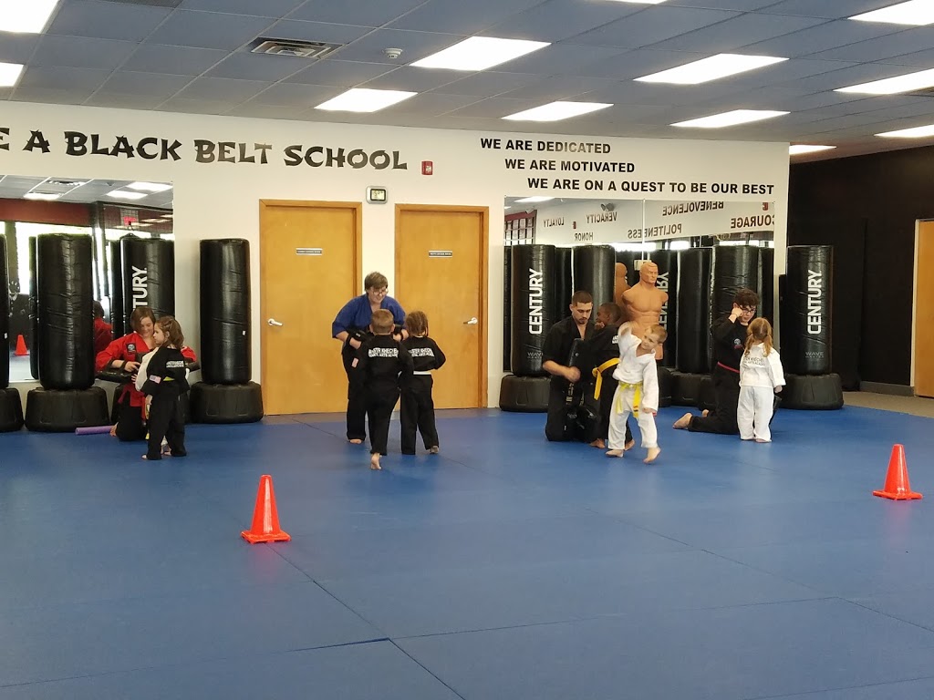 Master Khechens Martial Arts Academy | 1630 Hopkins Rd, Williamsville, NY 14221 | Phone: (716) 688-8878