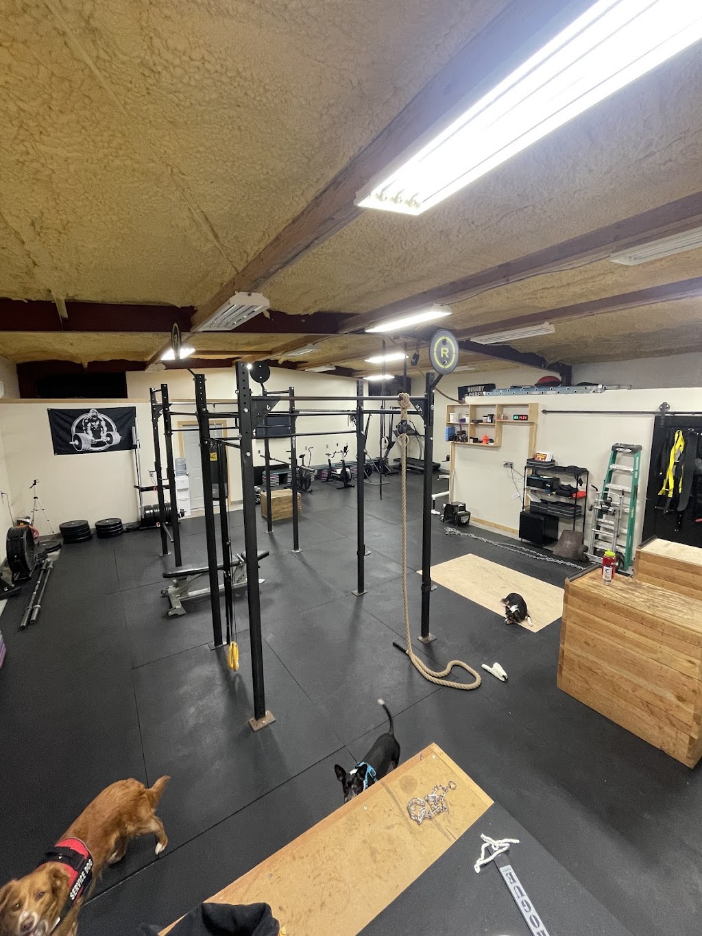 Helpful Rodden Fitness | 2524 Crescent Way, Discovery Bay, CA 94505, USA | Phone: (707) 603-5273
